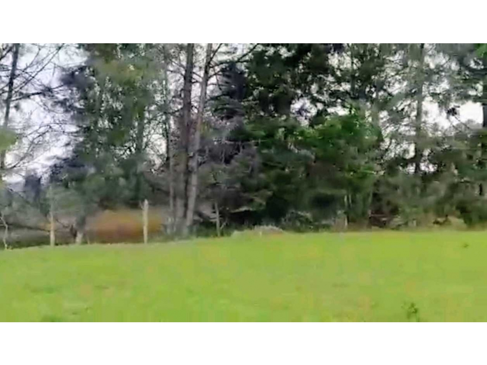 LOTE INDEPENDIENTE EN VENTA EN RIONEGRO ANTIOQUIA AL LADO DEL AEROPUE — foto 3