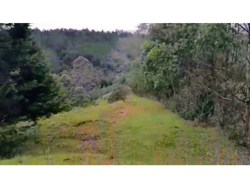 LOTE INDEPENDIENTE EN VENTA EN RIONEGRO ANTIOQUIA AL LADO DEL AEROPUE — foto 5