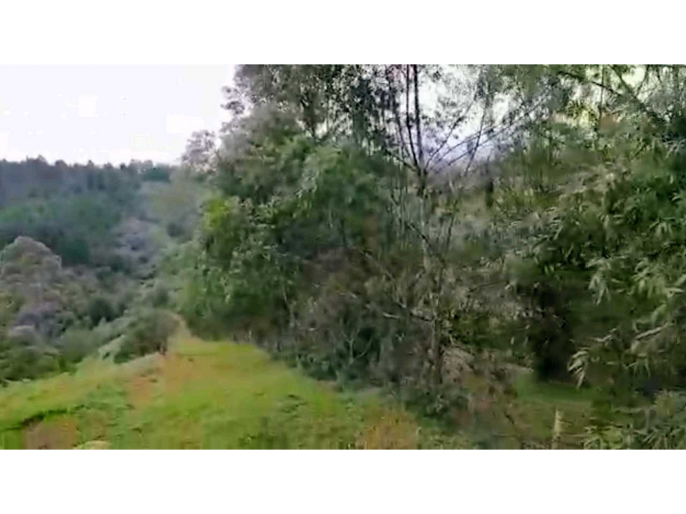 LOTE INDEPENDIENTE EN VENTA EN RIONEGRO ANTIOQUIA AL LADO DEL AEROPUE — foto 6