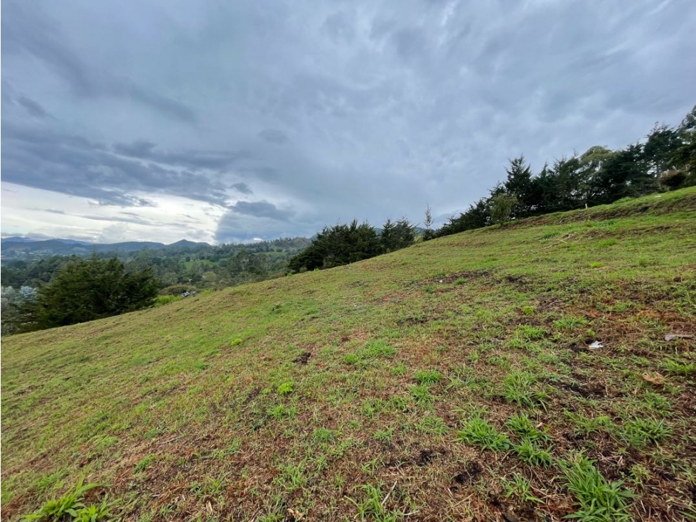 Lote independiente en venta en Llanogrande