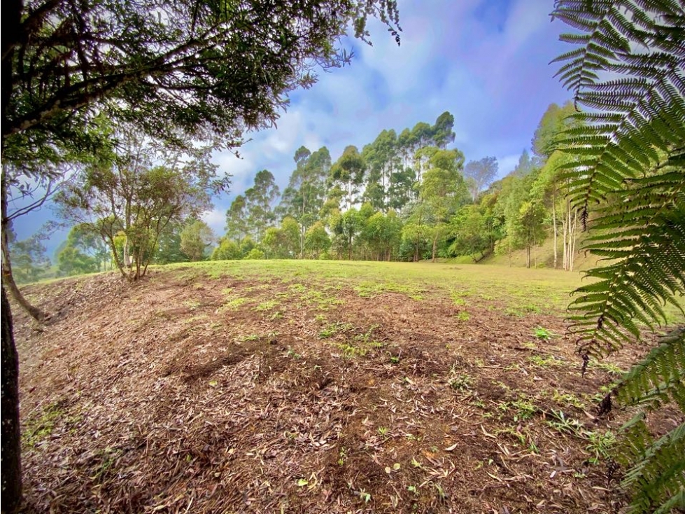 venta Espectacular Lote Independiente Llanogrande Aeropuerto
