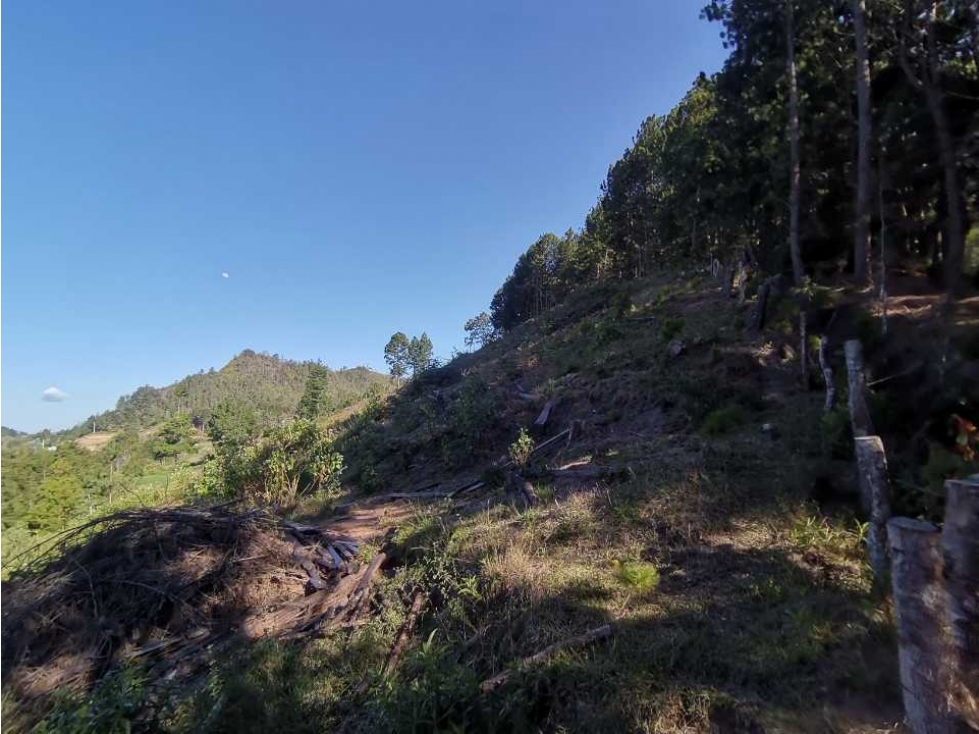 Lote independiente para la venta en vía don Diego la ceja (LDC) — foto 2