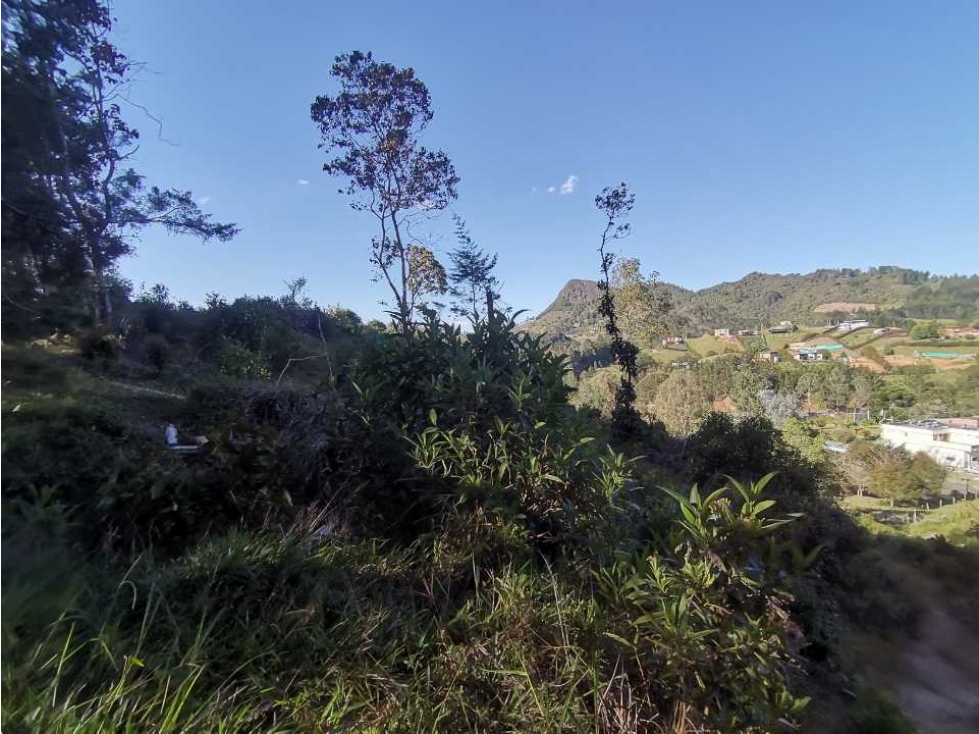 Lote independiente para la venta en vía don Diego la ceja (LDC) — foto 3