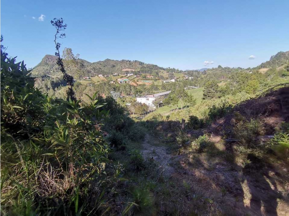 Lote independiente para la venta en vía don Diego la ceja (LDC) — foto 4
