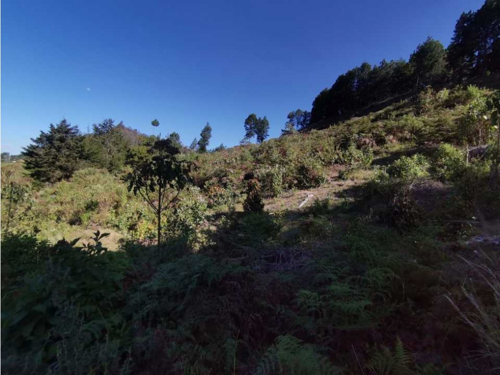 Lote independiente para la venta en vía don Diego la ceja (LDC) — foto 6