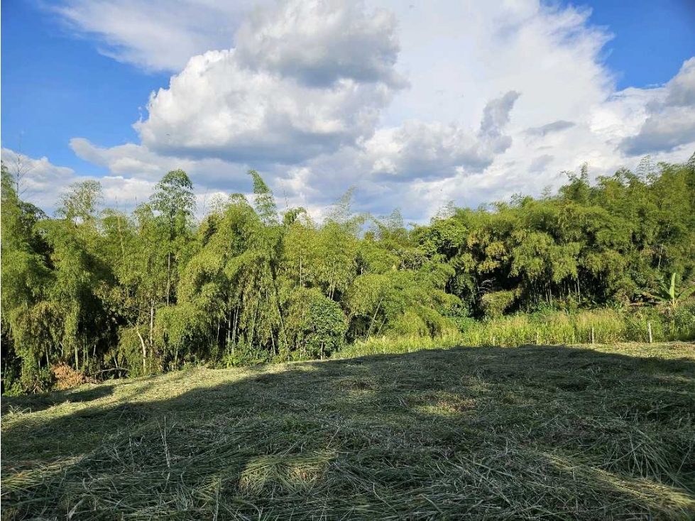 Lote independiente para venta en Malabar, Cerritos — foto 2
