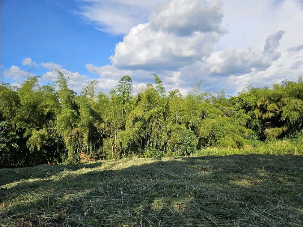 Lote independiente para venta en Malabar, Cerritos — foto 5