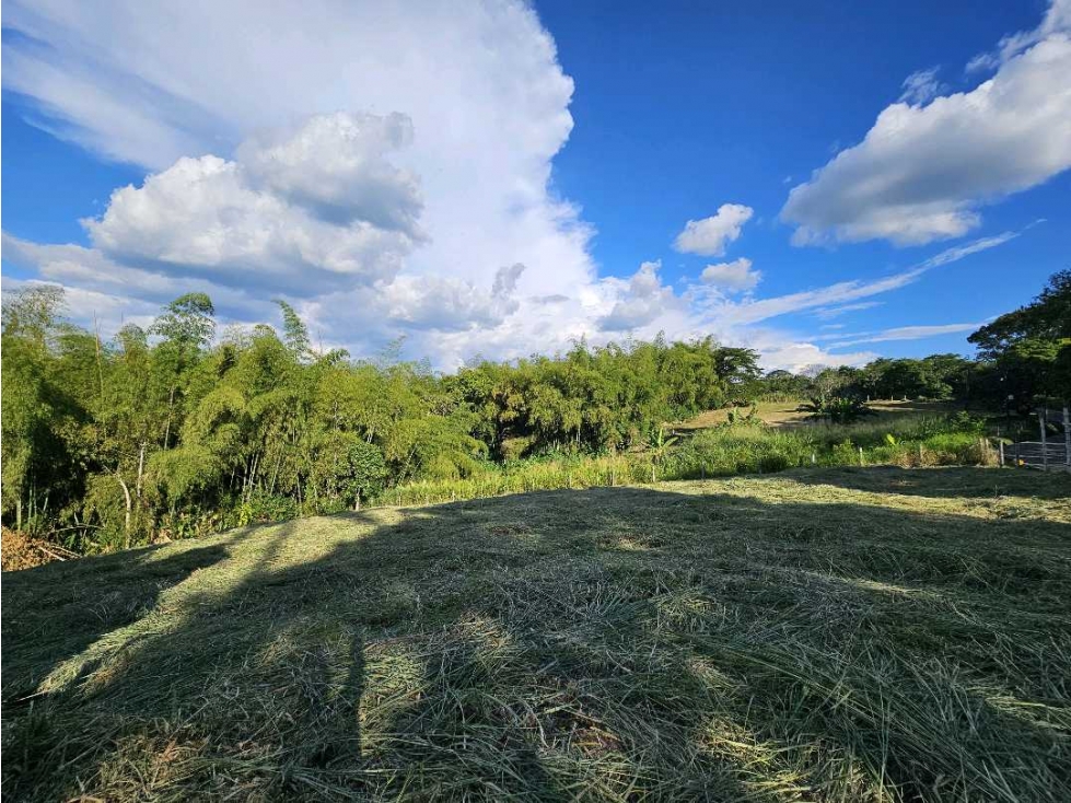 Lote independiente para venta en Malabar, Cerritos — foto 6