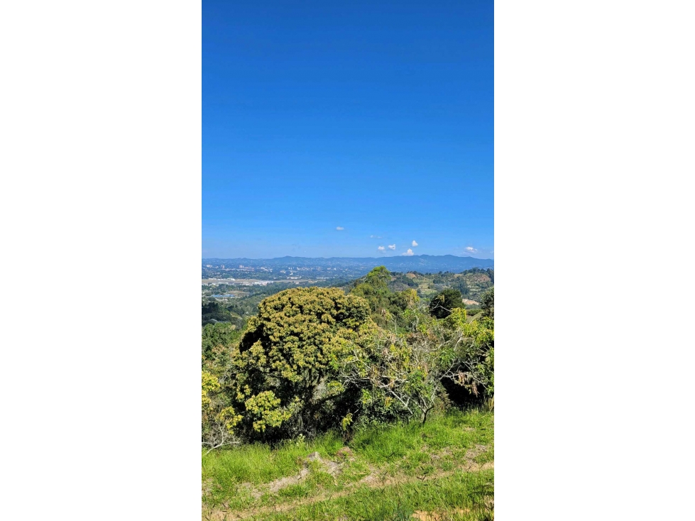 VENTA LOTE INDEPENDIENTE RIONEGRO SECTOR SAJONIA - ESPECTACULAR VISTA — foto 4