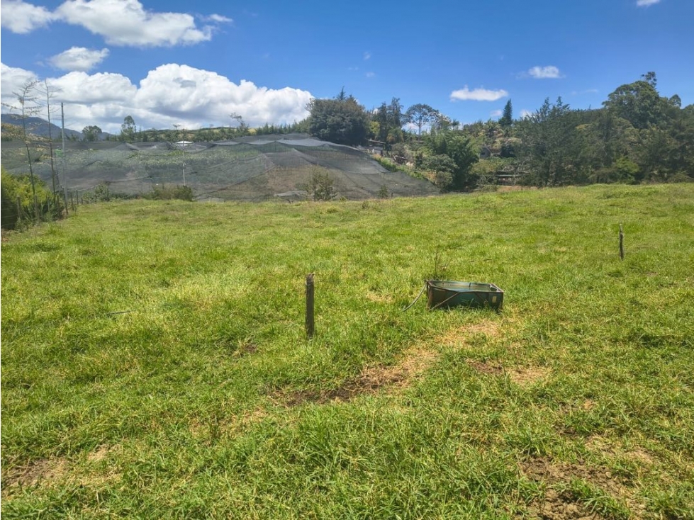 Lote independiente Rionegro Via a la Ceja — foto 6