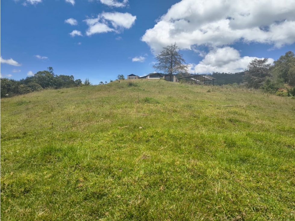 Lote independiente Rionegro Via a la Ceja — foto 5