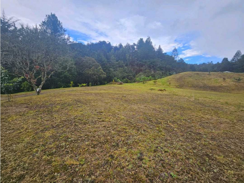LOTE INDEPENDIENTE SECTOR FLANDES