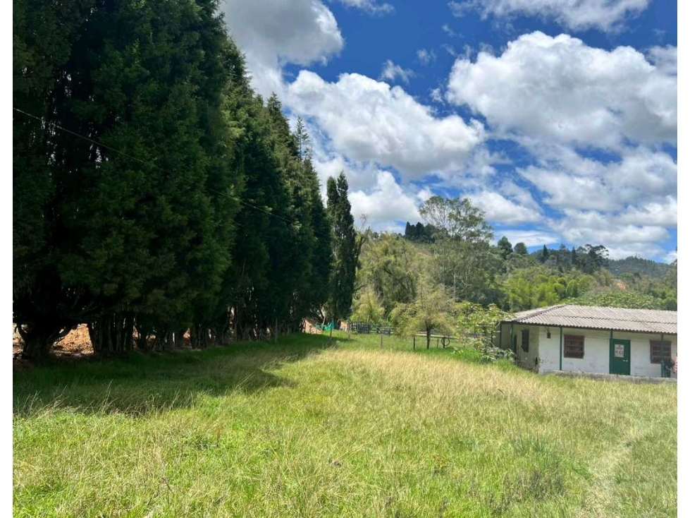 Lote Industrial en Guarne a 10 minutos del Aeropuerto — foto 2