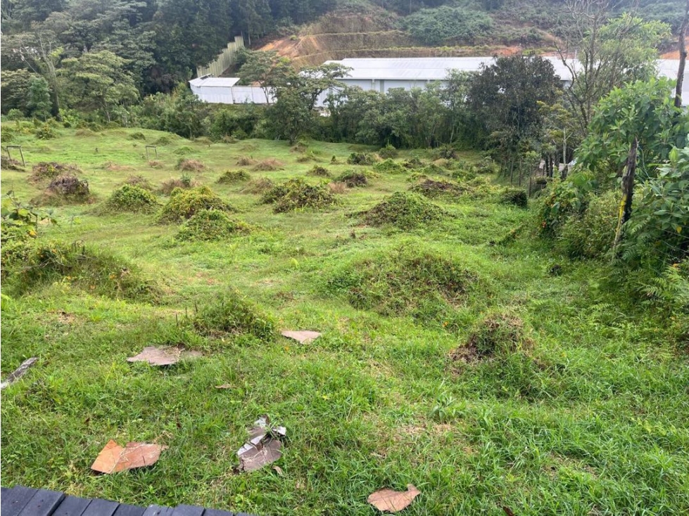 Lote industrial, residencial o uso agrícola — foto 3