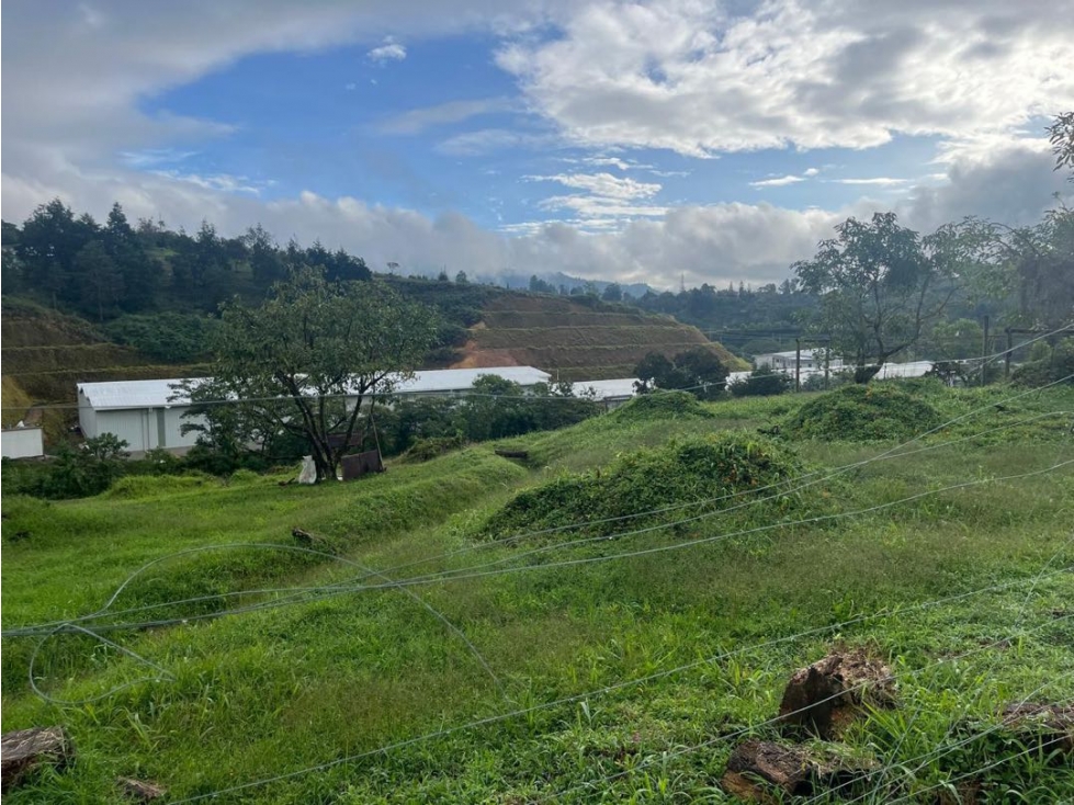 Lote industrial, residencial o uso agrícola — foto 5