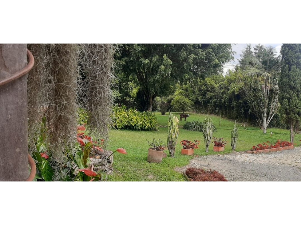 Lote Industrial en Venta en Guarne 65.800 m² — foto 5