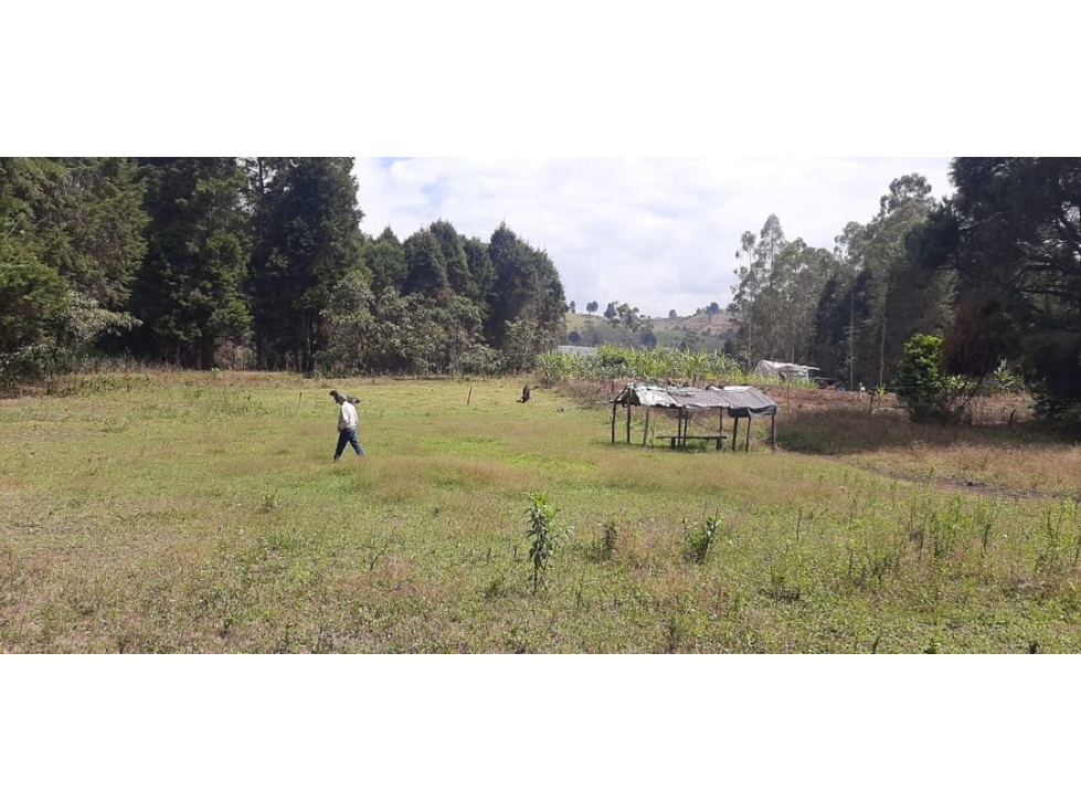 Lote Industrial en Venta en Guarne 65.800 m² — foto 6