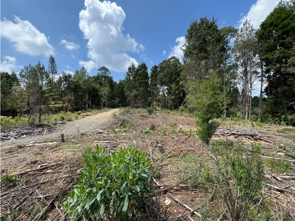 Lote Industrial en Venta en Guarne 65.800 m² — foto 2