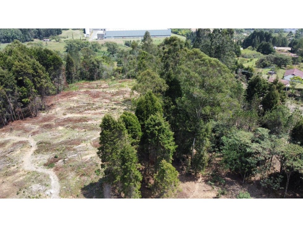 Lote Industrial en Venta en Guarne 65.800 m²