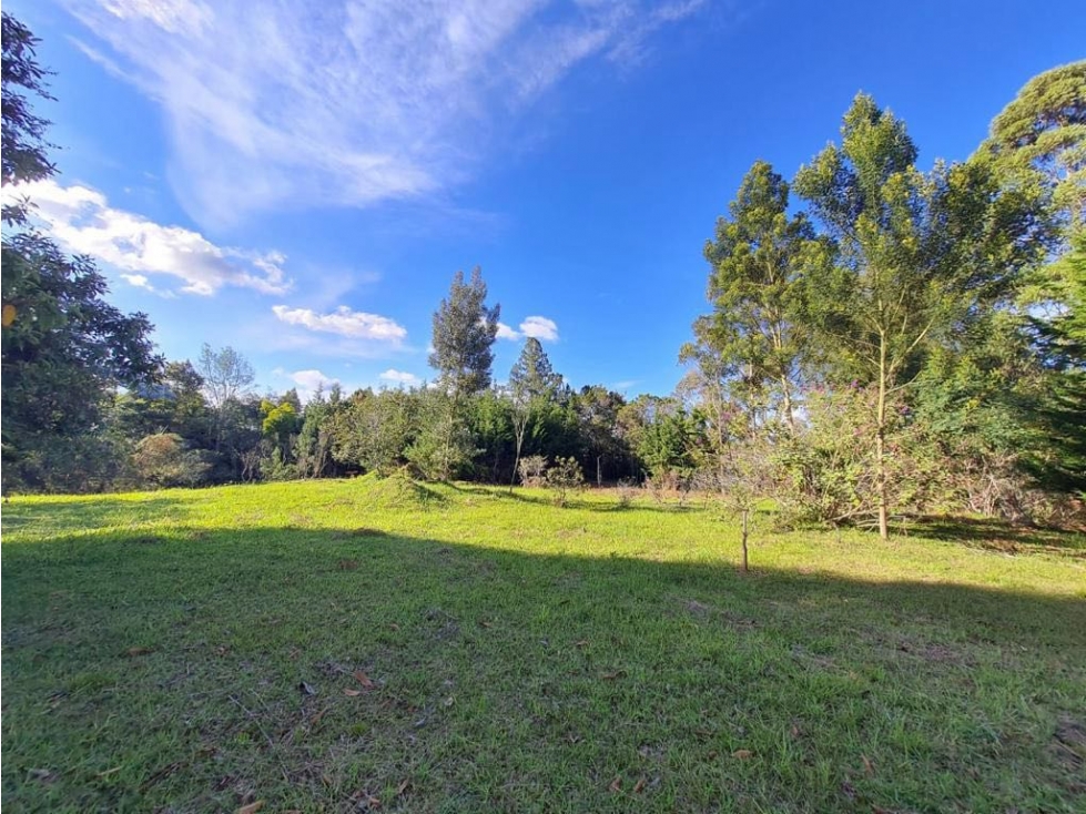 Lote institucional Comercial