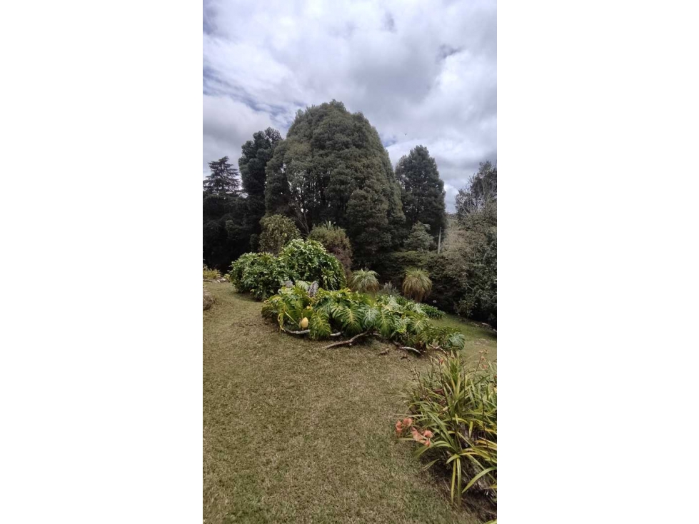 Lote La acuarela con Casa