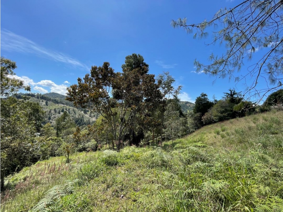 Lote en Paulandia El Retiro Vista a la Represa La Fe — foto 4