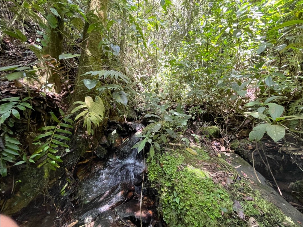 Lote en Paulandia El Retiro Vista a la Represa La Fe — foto 5
