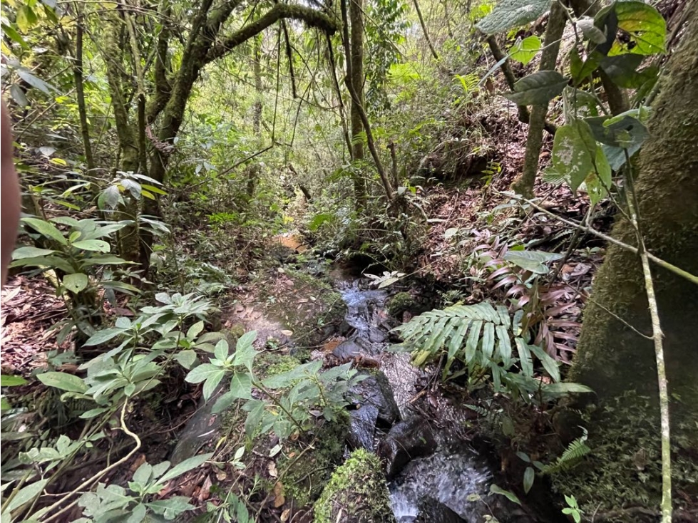 Lote en Paulandia El Retiro Vista a la Represa La Fe — foto 6