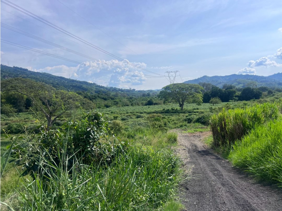 Lote Las Margaritas Vía Pacífico Tres Risaralda Caldas - 1