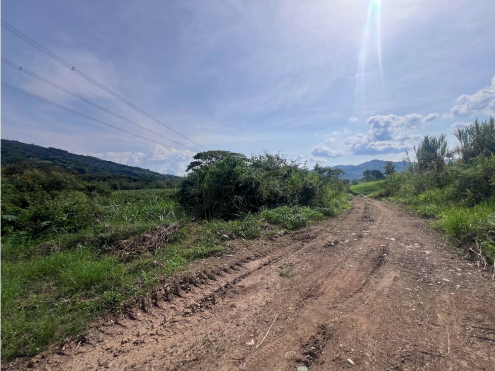 Lote Las Margaritas Vía Pacífico Tres Risaralda Caldas - 4
