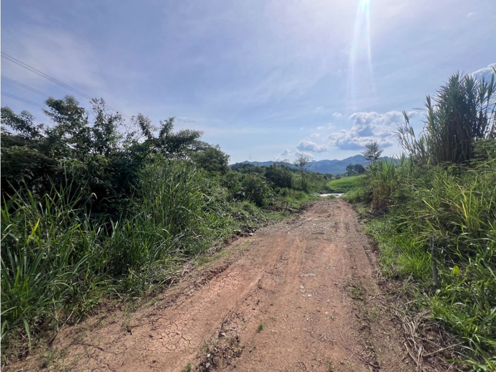 Lote Las Margaritas Vía Pacífico Tres Risaralda Caldas - 5