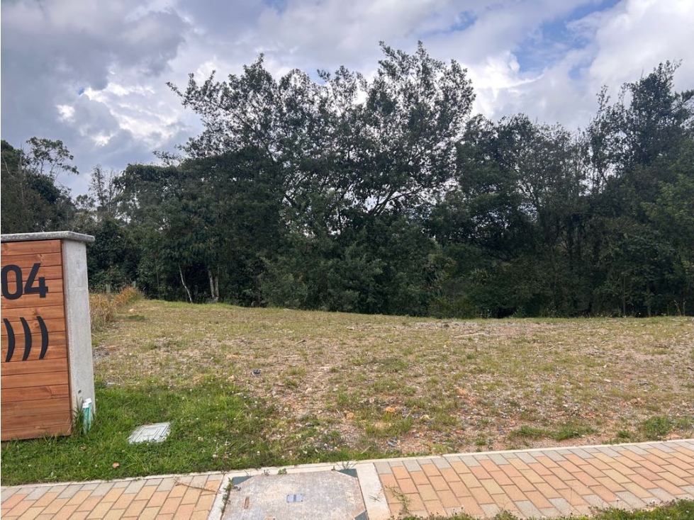 Lote Las Palmas Mall Indiana — foto 2