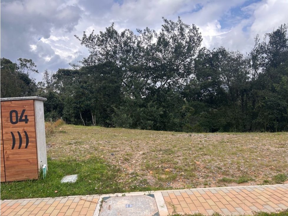 Lote Las Palmas Mall Indiana — foto 6