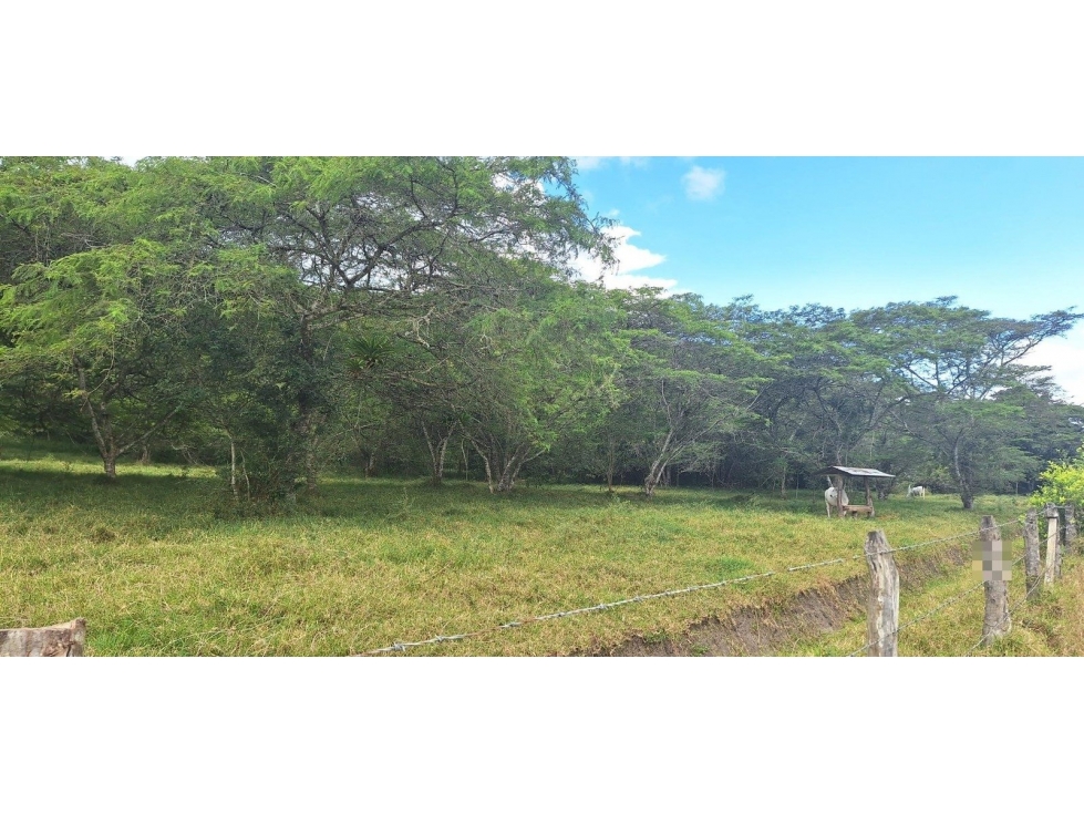 LOTE LAS VILLAS 2 VEREDA CAJAMARCA - 2