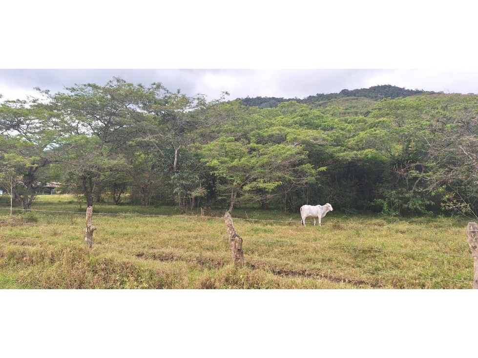 LOTE LAS VILLAS 2 VEREDA CAJAMARCA - 3