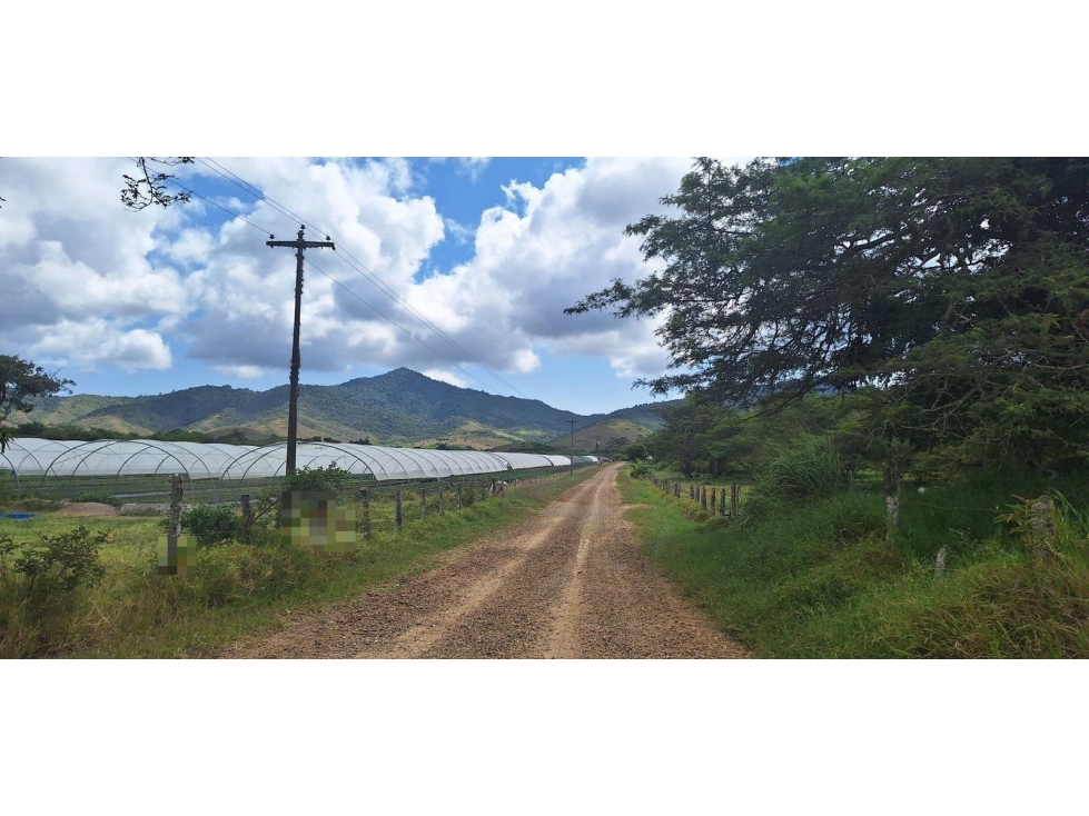 LOTE LAS VILLAS 2 VEREDA CAJAMARCA - 4