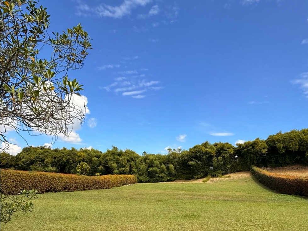Lote Llanogrande