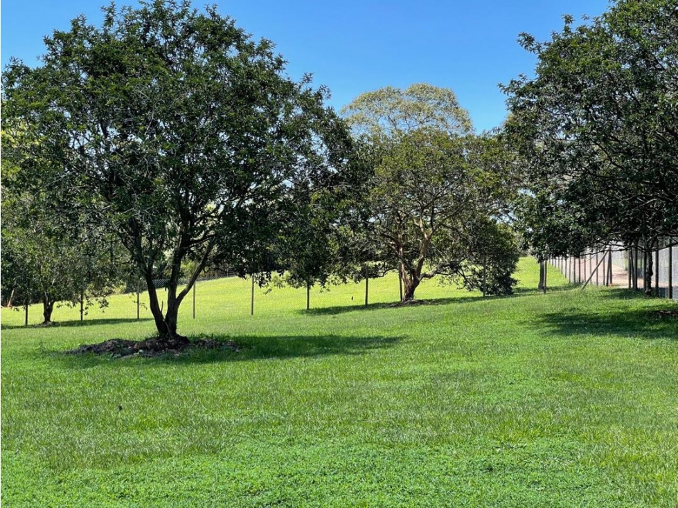 Lote Llanogrande Vilachuaga