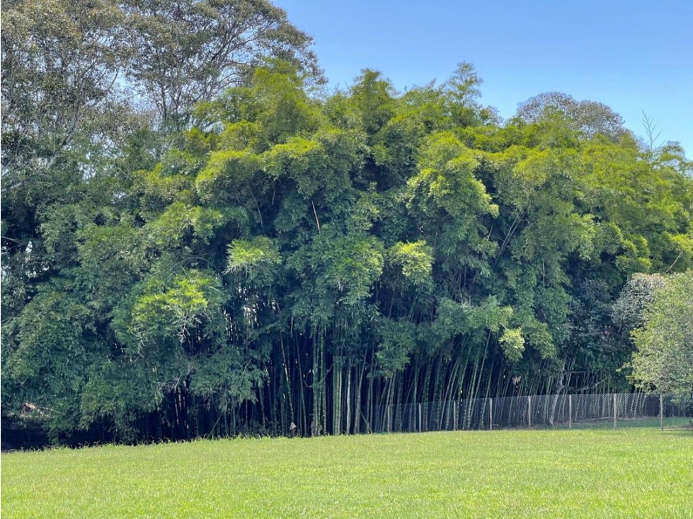 Lote Llanogrande Vilachuaga — foto 2