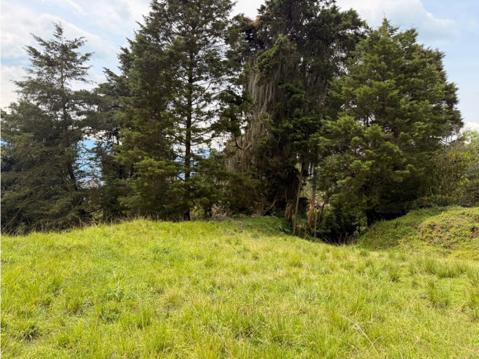 Lote Los Balsos — foto 3