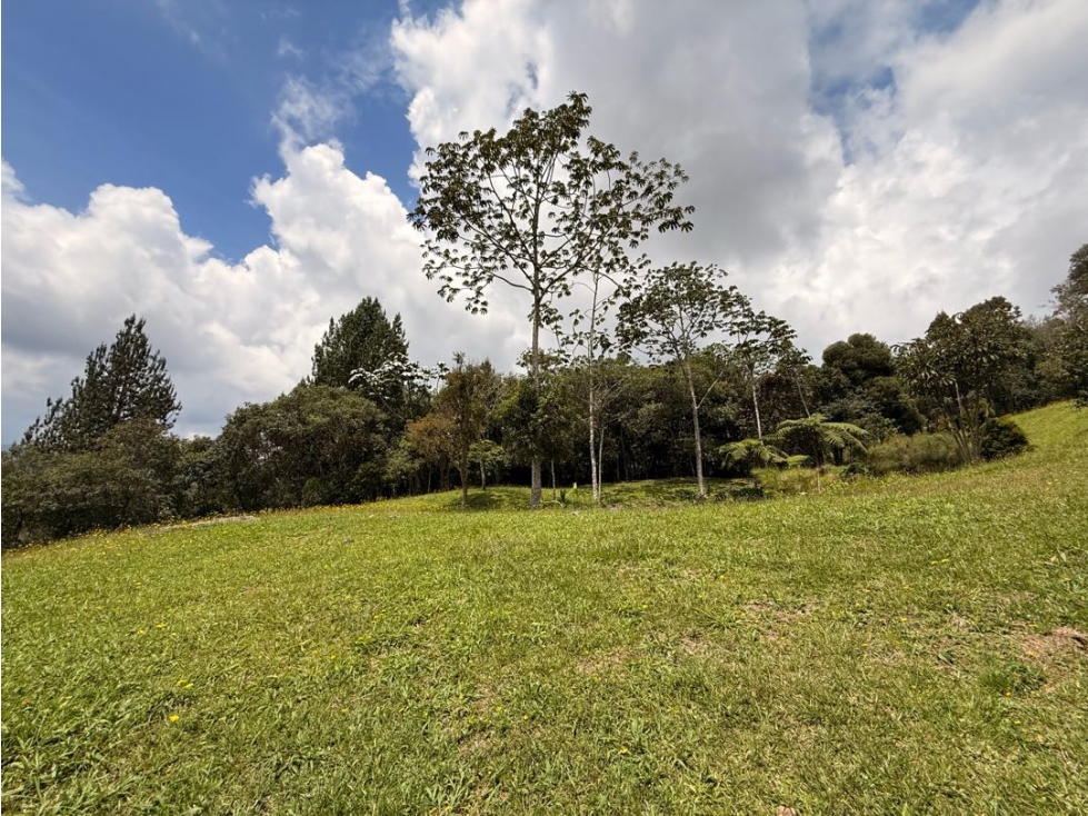 Lote Los Salados — foto 4
