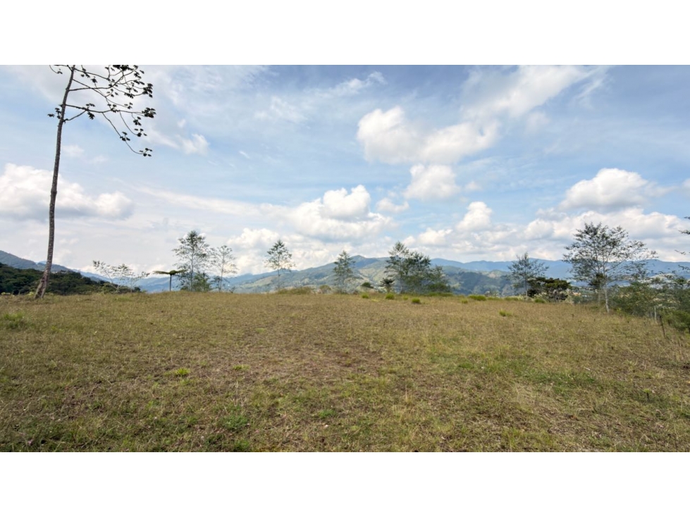 Lote Montesereno