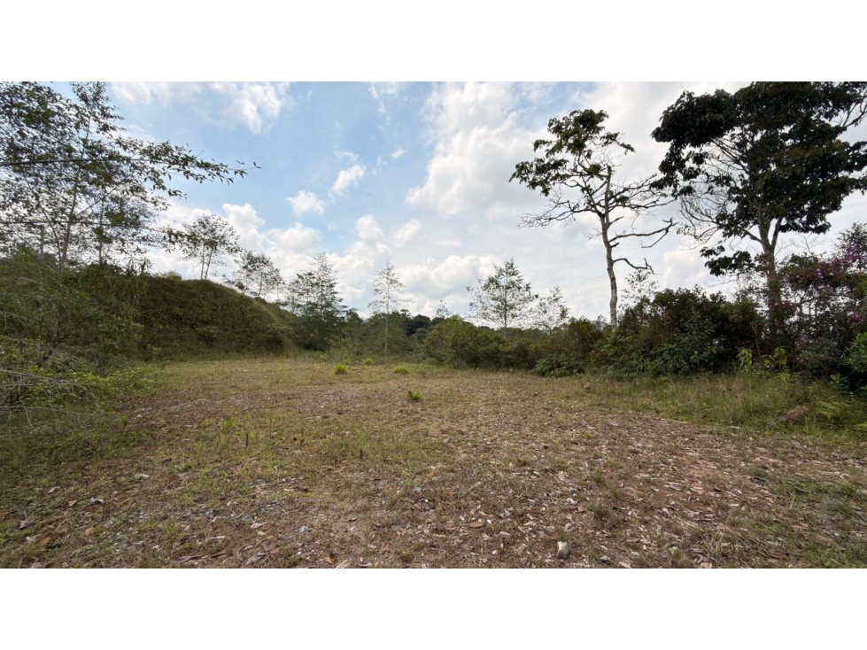 Lote Montesereno