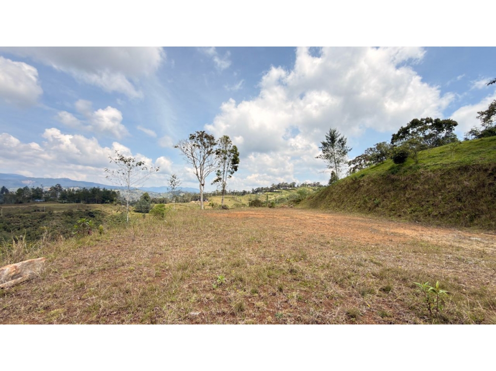 Lote Montesereno