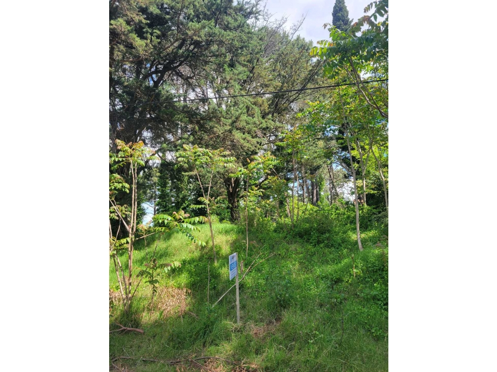 LOTE MULTIFAMILIAR EN VALERIA DEL MAR - 2