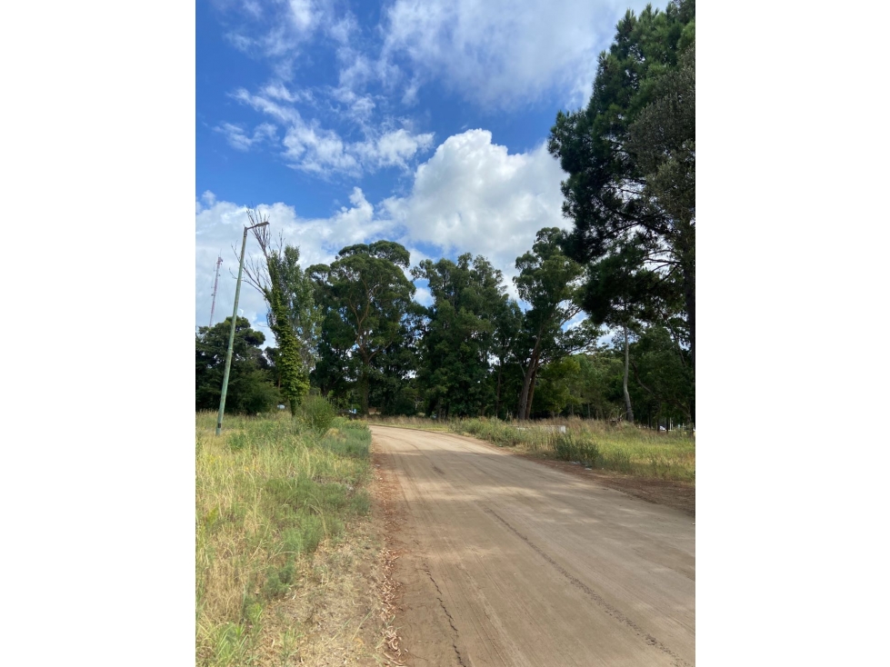 Lote Multifamiliar en Venta en Pinamar - Barrio Náyades N° 2 — foto 3