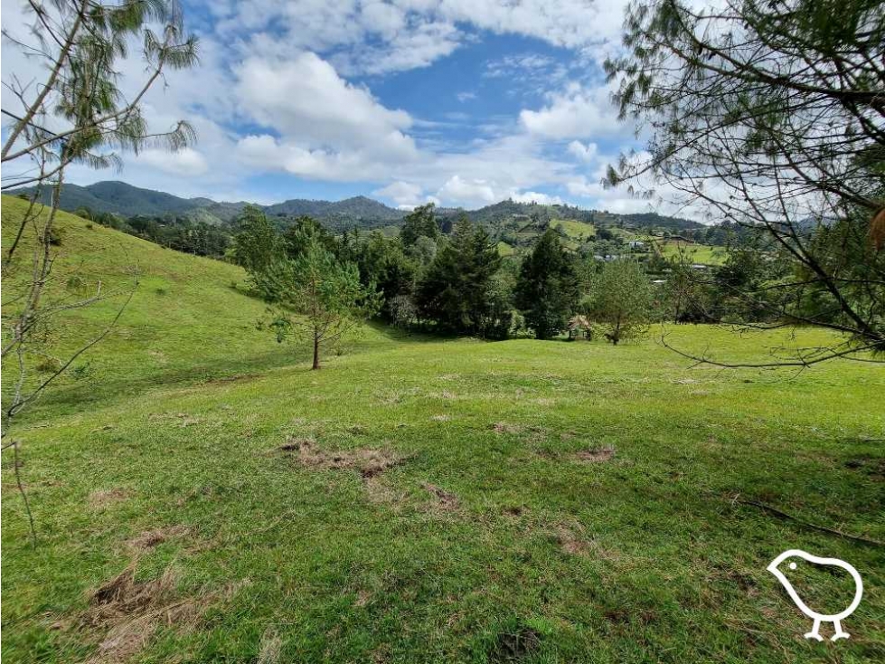Lote Pantanillo