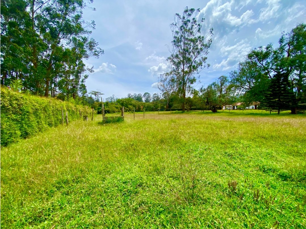 Lote en Arriendo en Rionegro sector Llanogrande