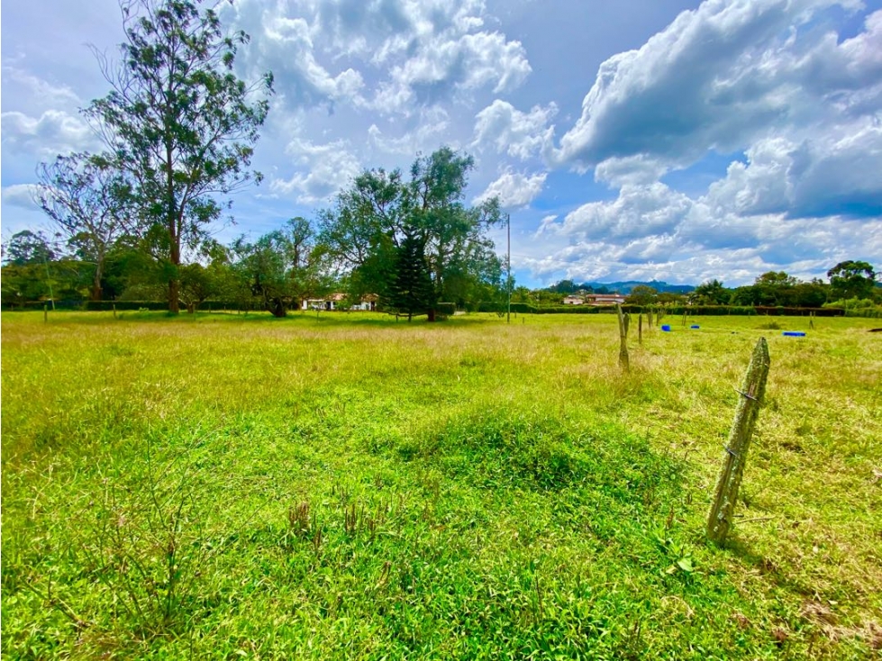 Lote en Arriendo en Rionegro sector Llanogrande - 3