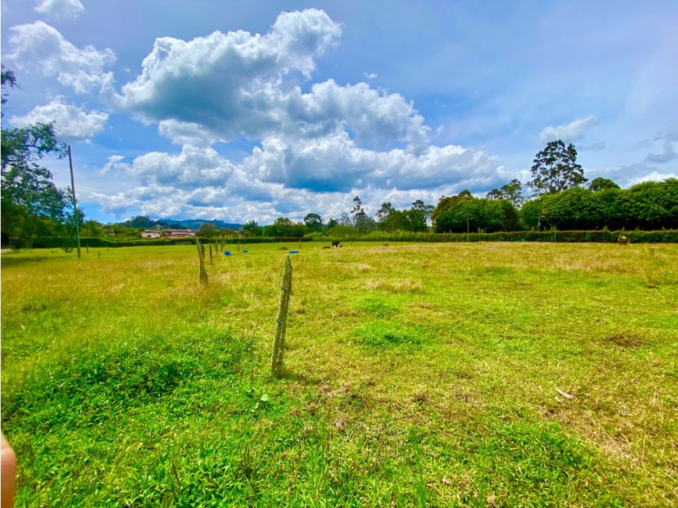 Lote en Arriendo en Rionegro sector Llanogrande - 4